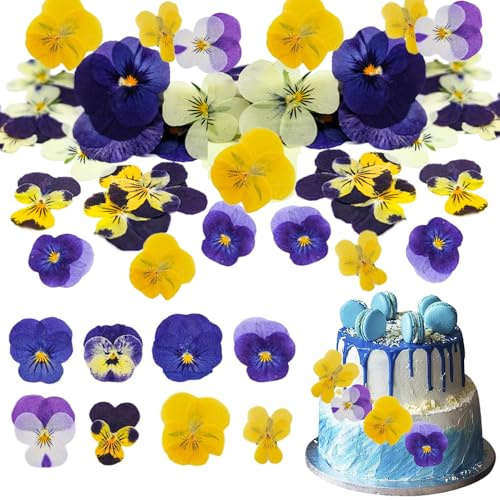 36 Stück gepresste, essbare Blumen, gemischte Arten, getrocknete Stiefmütterchen, dreifarbig, gepresste Blumen für Kuchendekoration, Cocktails, Schmuckherstellung, DIY, Kunsthandwerk
