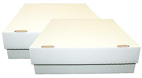 CAGO Lot de 2 boîtes de rangement géantes pour 4000 cartes (cartes magiques/Pokemon/YuGiOh) + pochettes collect-it