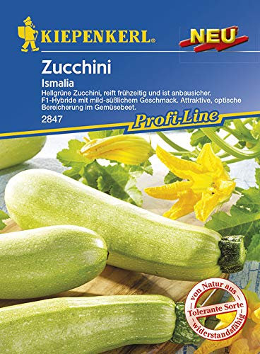 Kiepenkerl 2847 Zucchini Ismalia F1 (Zucchinisamen)