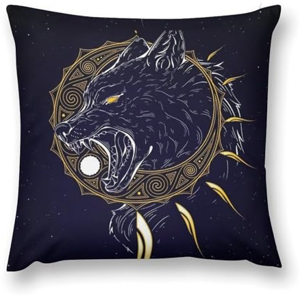 YUERYXH Casa Tamaño Queen Funda Almohada, Vikingo Símbolo de Evitar Perderse Brújula Funda Almohadones, Suave Peluche Corto Fundas Cojín para Dormitorio Cama Sofá(Blue,66x66cm)