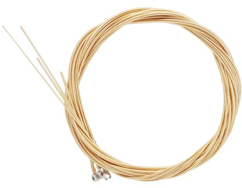 EPIGEIST Corde per Basso Elettrico 4 Corde in Acciaio al Carbonio e Ottone Colore Oro Set Professionale Facile Installazione Resistente All’usura Regalo per Musicista