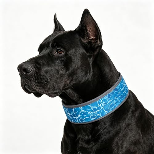 EXPAWLORER Dog Cooling Bandana with Ice Packs, Instant Cool Neck Cooler Scarf Wrap, Reflective Pet Bandana Chill Summer Essentials for Hot Weather Heat Relief for Small Medium Large Dogs, Blue L