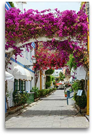 Premium Textil-Leinwand 50 x 75 cm Hoch-Format Bougainvillea in Puerto de Mogan at Gran Canaria., Leinwanddruck von Anja Frost