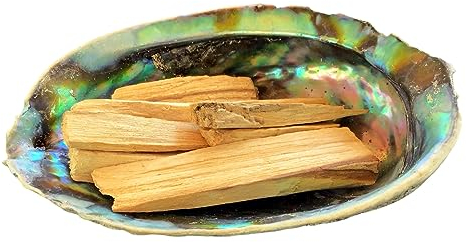 Kit d'encens en coquillage d'ormeau avec bois de palo santo, bol d'encens, coquillage de paula, bois sacré