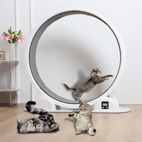 Katzenlaufrad, Laufband für Katzen mit einem Durchmesser von 110cm, Indoor-Laufband für große Katzen, ultraleises Laufband für Katzen, Kunststoff-Haustier-Laufband