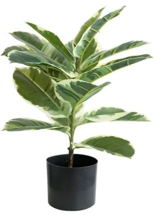 Nordischer Gummibaum, künstliche Pflanze für Zuhause, Büro, Dekoration, 56 cm, künstliche Bonsai-Grünbäume