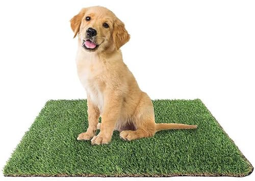 JCSRYD Kunstrasen Teppich für Hundeurin, Trainingsunterlage Aus Kunstrasen, 30 mm Rasenteppich für Drinnen und Draußen, Waschbar und Wiederverwendbar(26 * 31in/66 * 80cm)