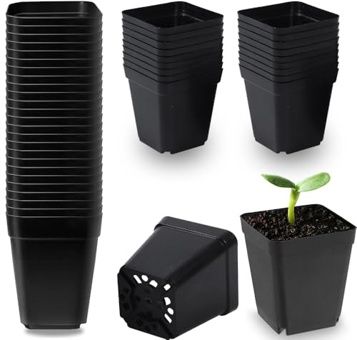 Voarge 50 stycken 5,5 cm svarta plastfyrkantiga krukor, blomkrukor för sticklingar för suckulenter, sticklingar, omplantering
