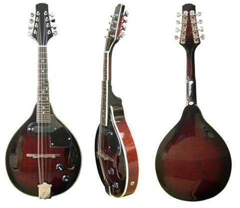 Mandolina Profesional Instrumentos De Mandolina Eléctrica Para Principiantes Adultos Y Profesionales