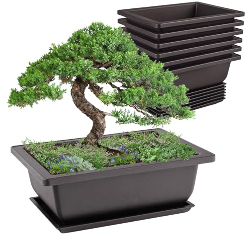 Idota 6 Stück Bonsai Schale, 16.5x12x6cm Bonsai Topf Wiederverwendbar Bonsaischale mit Tabletts, Kunststoff Bonsai Töpfe Pot Blumenpot für Gärten Wohnzimmer Balkone
