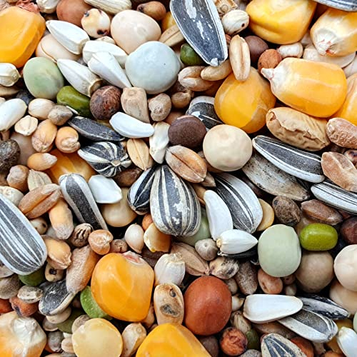 Gladen Zucht & Reise 25kg - Taubenfutter Reisefutter