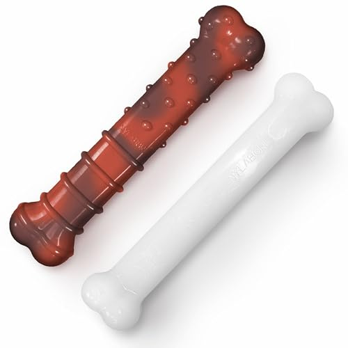 Nylabone Durable Power Dental Dog Chew Toys, Twin Pack, Beef Jerky & Chicken Flavour, Large, for Dogs up to 23kg (2 Count)