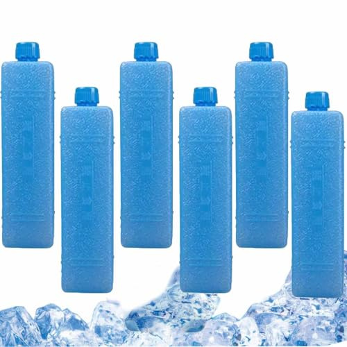 Lpoppcx Freezer Blocks For Cooler Bags - 200ml X 6 Reusable Ice Packs For Lunch Box, Air Conditioner Fan Ice Crystal Box | Long-Lasting, Quick Freeze | For Picnic, Camping, Beach & Outdoor Sports
