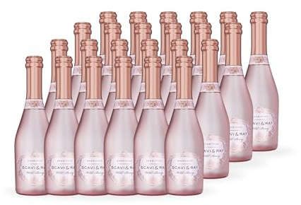 SCAVI & RAY Wild Berry Sprizz Piccolo 5,5% Vol. - 24x0,2l | Fruchtiger Aperitif-Cocktail mit Himbeere, Brombeere, Cranberry und Hibiskus, feine Perlage, ideal für unterwegs und Partys