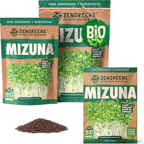 ZenGreens® - Graines de mizuna bio - Choisissez entre 10g, 200g et 500g - Graines de mizuna avec un taux de germination supérieur à 97% - Microgreens