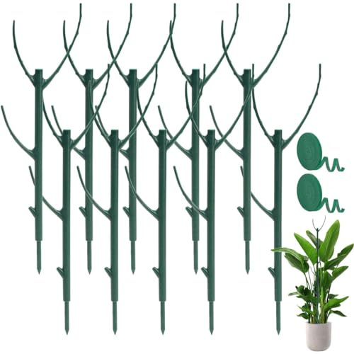10 Piezas Tutores para Plantas, Apilables Soporte para Plantas con 2 Rollos De Cinta Adhesiva, Plástico Tutor Plant Trepadoras Accesorio para Monstera, Flores, Plantas En Maceta