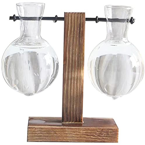 BCOATH Vaso Idroponico Con Supporto in Legno Elegante Bottiglia Di Per Fiori Per Casa E Ufficio