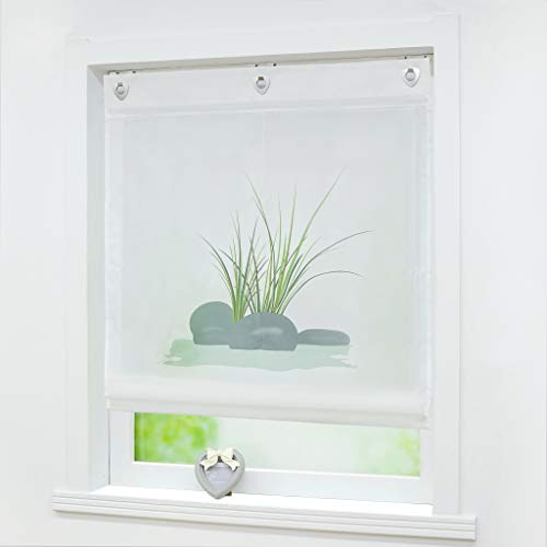 Joyswahl Raffrollo Voile Raffgardinen mit Haken Zoe Ösenraffrollo BxH 80x140cm Weiß-Grün 1er Pack
