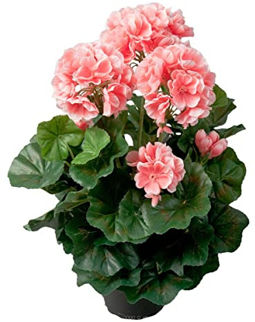 Artificielles.com - Künstlicher Geranie, 6 Köpfe im gewichteten Topf, Höhe 35 cm, tolle Blätter, Rosa - Farbe: Rosa