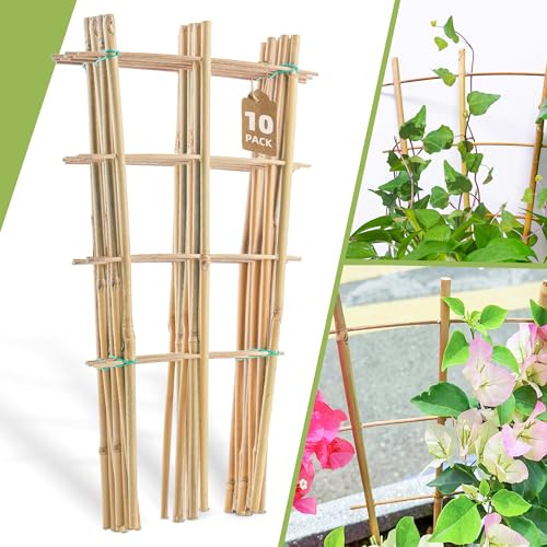 10 Pack 16 Bamboo Trellis for Climbing Plants, Fan-Shaped Plant Support
