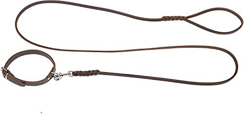 Dingo Gear Set Braune Leine und Halsband für Welpen- Leine 0,8 cm x 180 cm Hundehalsbänder 1,6 x 41 cm S03733