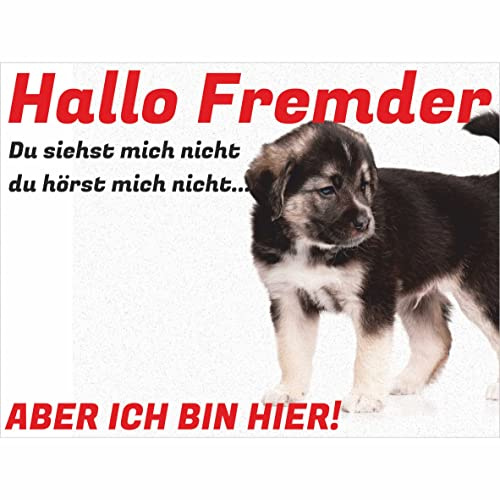 INDIGOS UG - Schilder selbst gestalten - Hallo Fremder - Schild personalisiert - Foto & Wunschtext - Aluverbundplatte - ab 20x15 cm - Spruch - Geschenkidee für Ihr Tier - Zaun - Türschild