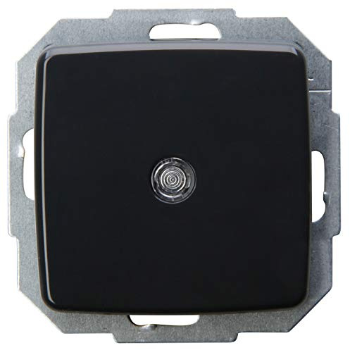 Kopp 586350087 - Interruptor con luz (con lente y luz de brillo, 10 AX, 250 V), color gris