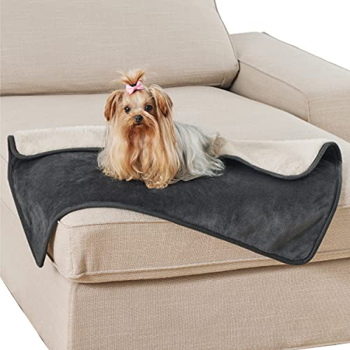 LE SURE Hundedecke Wasserdicht，60x80cm wasserdichte Decke Sofa,Dunkelgrau | Hundedecke für unterwegs, kleine Hunde Decke Fleece waschbar, Katzendecke flauschig und weich für Bett, Auto, Outdoor