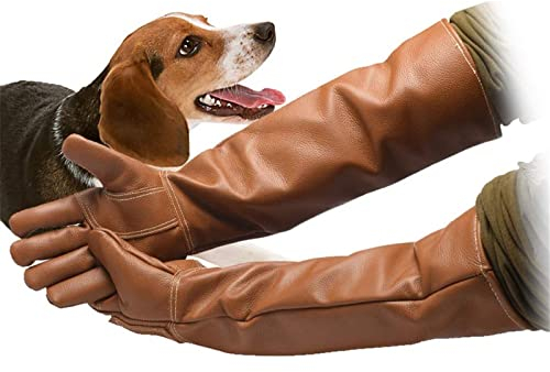 Schutzhandschuhe Für Den Umgang Mit Tieren Für Katzen, Hunde, Schlangen, Vögel, Schlangen, Papageien, Eidechsen, Beißende, wasserdichte Handschuhe
