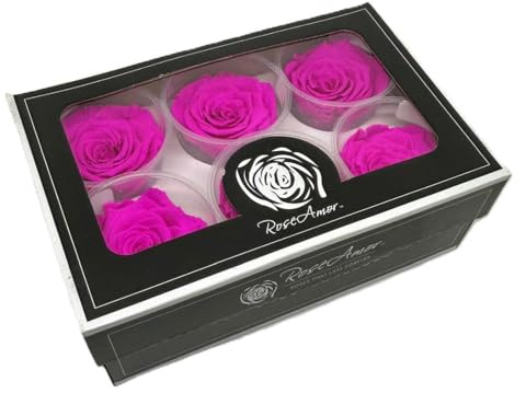 Generico 6 Rose Stabilizzate Classic Roses Ciclamino 4.5x6.5 cm