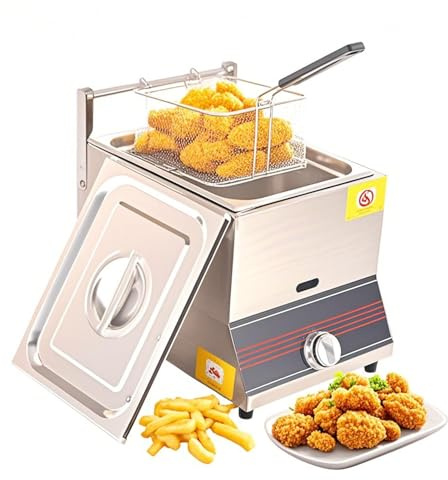 Friggitrice a gas GPL, friggitrice da banco in acciaio inox con coperchio e cestello per friggere, per cucina e ristorante