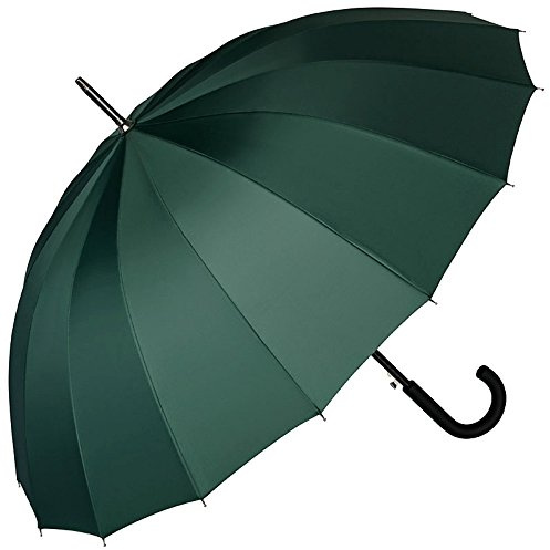 VON LILIENFELD® Parapluie Automatique Femme Homme Diamètre : 103 cm Stable 16 Baleines Segments Devon vert