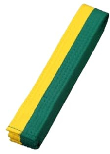 ZIHDKE 2-delade bekväma Taekwondo-bälten för träning bomull kampsport judo karate TKD Aikido bälte uniform vuxen tillförlitligt arkivsystem för Taekwondo, Gul grön, 2.4M
