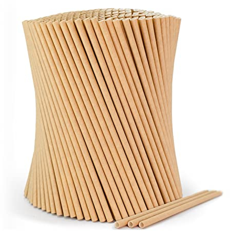 Wisefood Cannucce di carta, 500 cannucce in carta marrone, Ø 6 mm 20 cm, prive di PLA/PE, cannucce monouso biodegradabili in robusta carta kraft