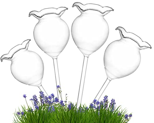 SMELEYOU bewässerungskugeln, 4pcs Selbstbewässerung Pflanzer Pflanze Wassererlampen Selbst Wasserwässer STECK STECKLICH Glasse Rose FAHRE PLANZENFAHREN TRIPERS Betrieb für Pflanzen