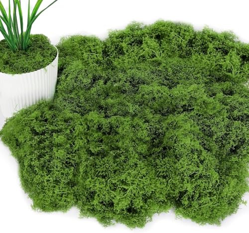 PacuM Schiuma naturale 100 g, dislanda artificiale per fai da te, falso tappeto erboso esterno, morbido e realistico riutilizzabile, per composizioni floreali, lavori manuali, verde scuro