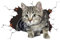 3D Pegatina Gato, Pegatina coche exterior, Lindo Decorativo Pegatina Gato Pegatina, Tema Animal pegatina personalizada coche(18 x 13 cm)