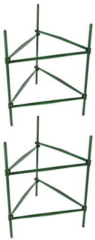 FONDOTIN 2 Sätze Klettergerüst Zum Pflanzen Von Weinreben Freistehend Wachsen Gartenpflanze Befestigungsclips Für Pflanzenkletterwände Gestell Runden Erbse Sphagnum Obelisk Plastik Green