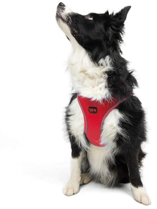 Air-Mesh Brustgeschirr für kleine und mittelgroße Katzen und Hunde – Weich, Atmungsaktiv, Strapazierfähig (Leuchtendrot, XL (Brustumfang 66–70cm))