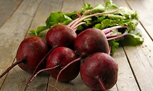 RemolachaBola Roja Oscura - 100 g de semillas - semilla
