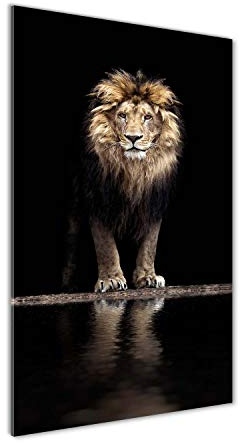 Tulup Impression sur Verre de 50x100 cm Image Tableau Photo décorative panoramique pour la Cuisine et Le Salon - Animaux - Portrait d'un Lion - Noir