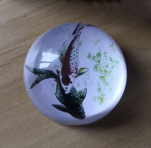 Kristallkugel Fisch Karpfen Halbkugel Glas Halbkugel Briefbeschwerer Heimdekoration Ornamente Kugel Miniatur Kreative Geschenke