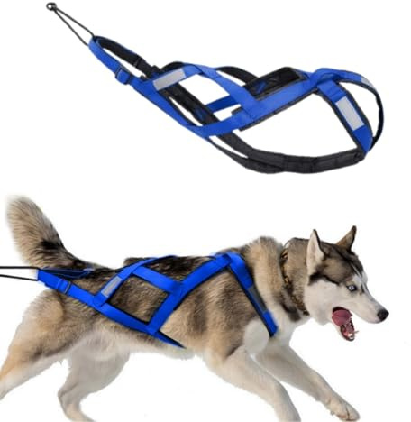 Dog Mushing Harness, Dog Pull Harness, Bikejoring, Professional Speed Training，canicross gürtel (Blau, L)