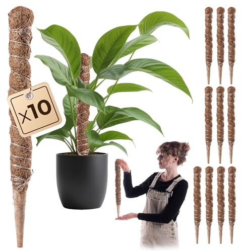KADAX Monstera - Set di 10 bastoncini in fibra di cocco (45 cm), asta di cocco e muschio per piante da interno, supporto per arrampicata e piante per interni ed esterni