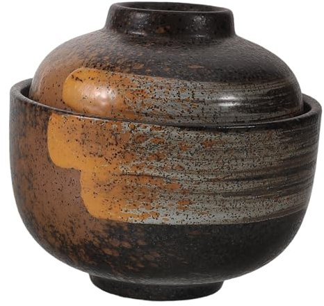 PAMINGONO Bol à Soupe Japonerie Avec Couvercle 500ml En Céramique Micro-ondable Isotherme Pour Soupe Miso Et Udon Usage La Cuisine Quotidienne Ensemble Bol Traditionnel