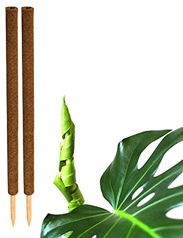 BigDean 2er Set Pflanzstäbe Kokos 110 cm - Monstera Rankhilfe Rankstäbe Stab Moosstäbe Pflanzenstäbe Kokosstäbe für Pflanzen - aus natürlicher Kokosfaser - verlängerbar