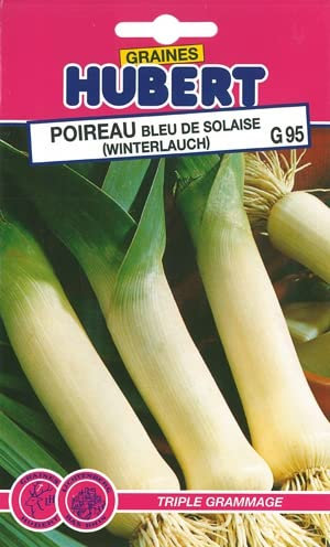 Graines de Poireau Bleu de Solaise- Format ECO - 9 grammes