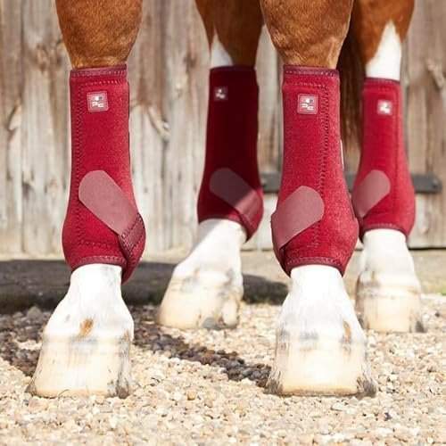 Premier Equine - Air-Tech Sports Medicine Boots XL/1 Paar - Burgundy