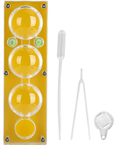 Boîte d'élevage de Fourmis en Acrylique, étui d'alimentation hydratant Transparent, Maison de Fourmis pour Enfants, Kit de Ferme de Fourmis pour Enfants, éducation Scientifique,