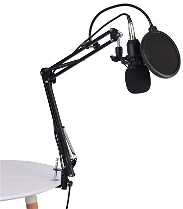 GOTOTOP Microfono a Condensatore BM800 con Supporto a Braccio, Filtro Pop, Copertura in Schiuma, Kit per Registrazione Studio